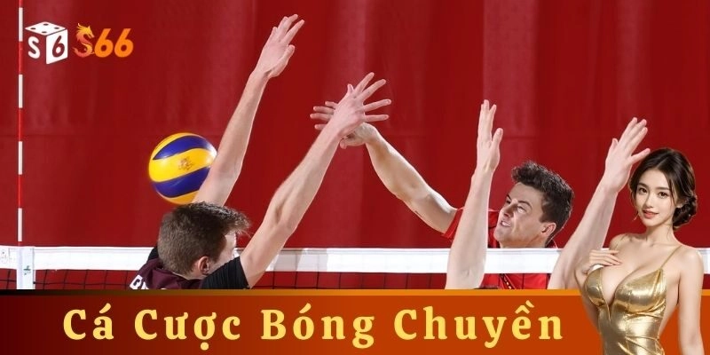 Mẹo và chiến lược cá cược hiệu quả