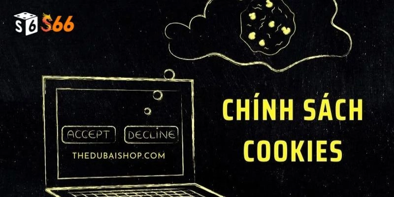 Giới thiệu chính sách cookies