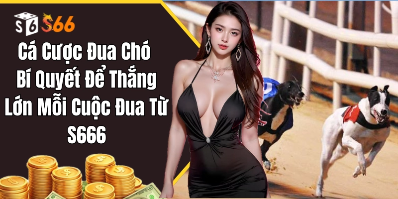 Tìm hiểu hình thức cá cược đua chó