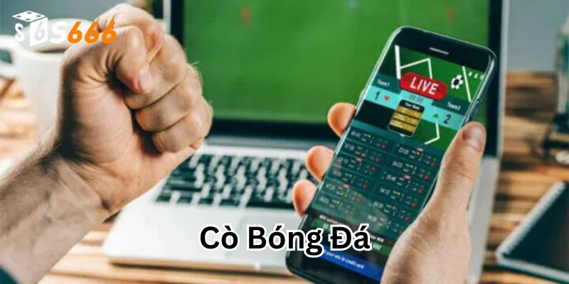 Cò Bóng Đá là gì? 