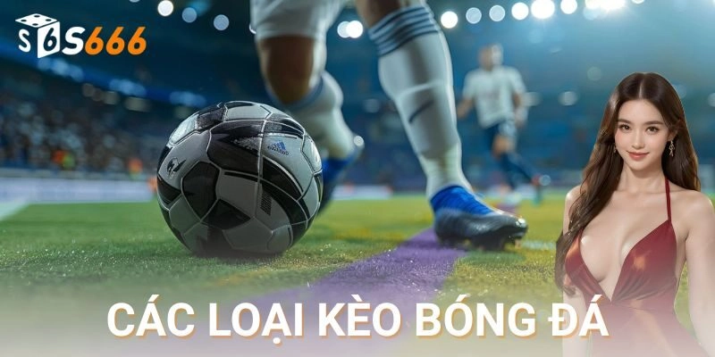 Các loại kèo bóng đá phổ biến và cách hoạt động