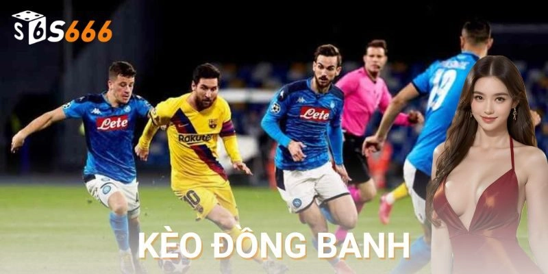 Định nghĩa và đặc điểm